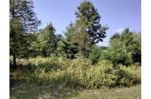 W4346 Fox Road, Montello, WI 53949