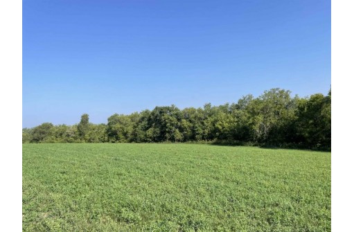 60 ACRES County Road O, Elroy, WI 53929