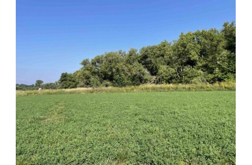 60 ACRES County Road O, Elroy, WI 53929