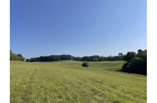 60 ACRES County Road O, Elroy, WI 53929