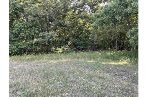 60 ACRES County Road O, Elroy, WI 53929