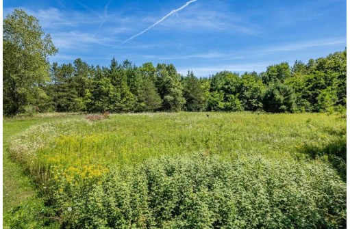 20.54 AC Birchwood Road, Wisconsin Dells, WI 53965