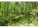 20.54 AC Birchwood Road, Wisconsin Dells, WI 53965