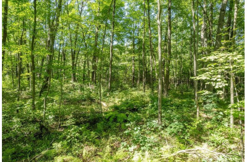 20.54 AC Birchwood Road, Wisconsin Dells, WI 53965