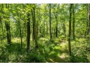 20.54 AC Birchwood Road, Wisconsin Dells, WI 53965