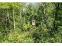 20.54 AC Birchwood Road, Wisconsin Dells, WI 53965