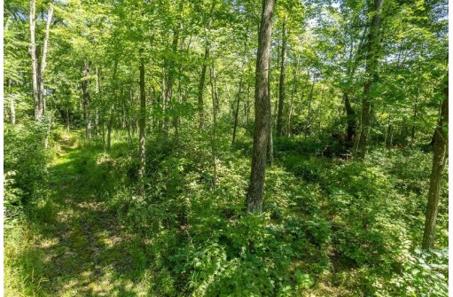 20.54 AC Birchwood Road, Wisconsin Dells, WI 53965