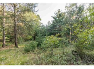 LOT 3 Deer Ridge Estates Oxford, WI 53952