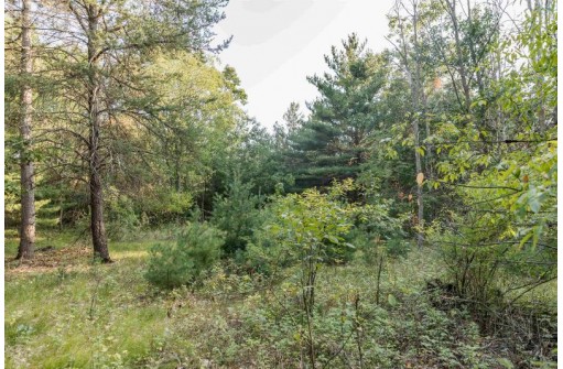 LOT 3 Deer Ridge Estates, Oxford, WI 53952