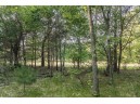 LOT 3 Deer Ridge Estates, Oxford, WI 53952