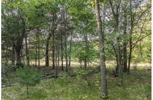 LOT 3 Deer Ridge Estates, Oxford, WI 53952