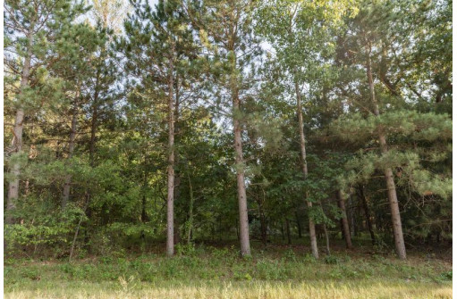 LOT 3 Deer Ridge Estates, Oxford, WI 53952