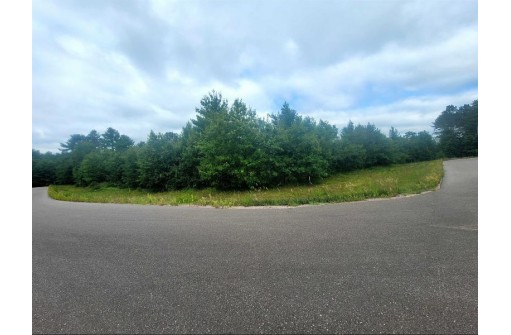 LOT 13 Holzem Circle, Wisconsin Dells, WI 53965