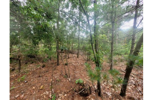 LOT 13 Holzem Circle, Wisconsin Dells, WI 53965