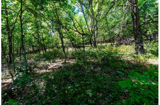 36 AC 10th Road, Westfield, WI 53964