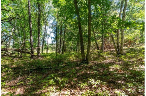 36 AC 10th Road, Westfield, WI 53964