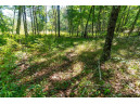 36 AC 10th Road, Westfield, WI 53964