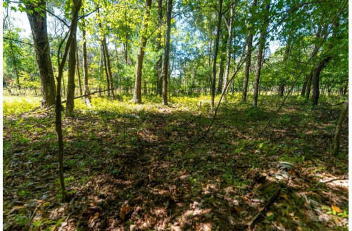 36 AC 10th Road, Westfield, WI 53964