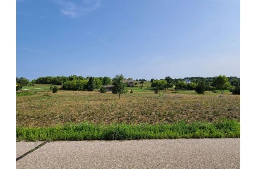 LOT 40 Swan Lake Summit Estates Lane, Pardeeville, WI 53954