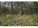 LOT 162 Pine Lane, New Lisbon, WI 53950