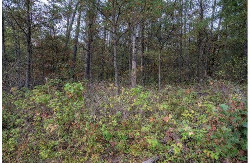 LOT 162 Pine Lane, New Lisbon, WI 53950