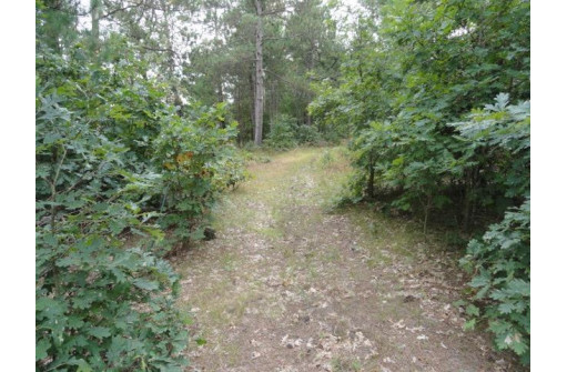 W1430 Buffalo Trail, Lyndon Station, WI 53944