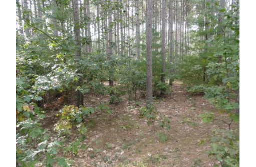 W1430 Buffalo Trail, Lyndon Station, WI 53944