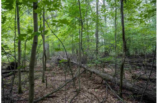 LOT 3 E Half Moon Bay Drive, New Lisbon, WI 53950