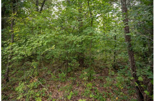 LOT 3 E Half Moon Bay Drive, New Lisbon, WI 53950