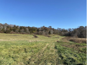 40 +/- ACRES Plank Road