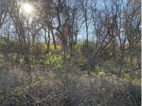 40 +/- ACRES Plank Road