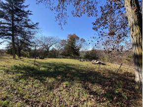 40 +/- ACRES Plank Road