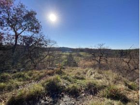 40 +/- ACRES Plank Road