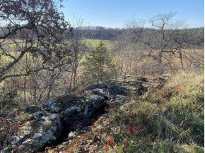 40 +/- ACRES Plank Road