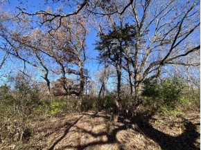 40 +/- ACRES Plank Road