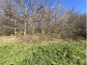 40 +/- ACRES Plank Road