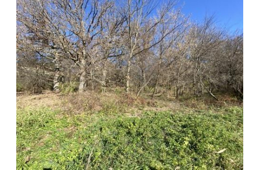 40 +/- ACRES Plank Road, Highland, WI 53543