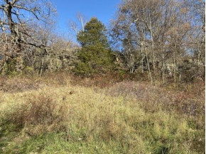 40 +/- ACRES Plank Road