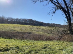 40 +/- ACRES Plank Road