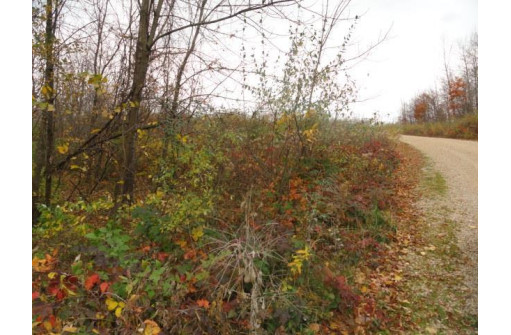 LOT 27 Forest Hill Lane, Boscobel, WI 53805