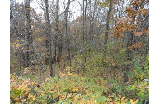 LOT 27 Forest Hill Lane, Boscobel, WI 53805