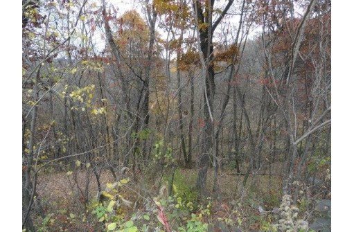 LOT 27 Forest Hill Lane, Boscobel, WI 53805