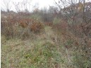 LOT 27 Forest Hill Lane, Boscobel, WI 53805