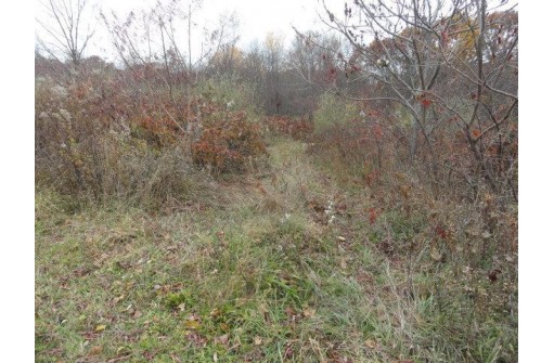 LOT 27 Forest Hill Lane, Boscobel, WI 53805