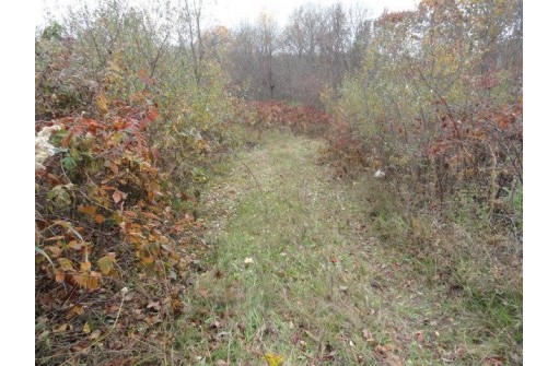 LOT 27 Forest Hill Lane, Boscobel, WI 53805