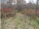 LOT 27 Forest Hill Lane, Boscobel, WI 53805