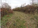 LOT 27 Forest Hill Lane, Boscobel, WI 53805