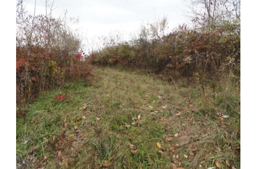 LOT 27 Forest Hill Lane, Boscobel, WI 53805