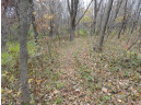 LOT 27 Forest Hill Lane, Boscobel, WI 53805