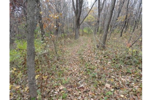 LOT 27 Forest Hill Lane, Boscobel, WI 53805